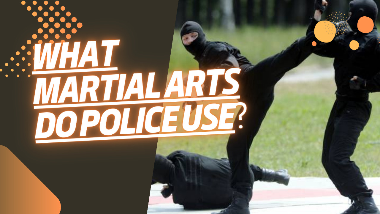 What Martial Arts Do Police Use